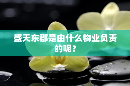 盛天东郡是由什么物业负责的呢？