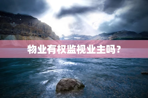 物业有权监视业主吗？