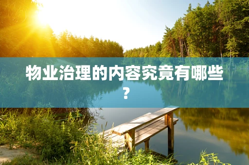 物业治理的内容究竟有哪些？