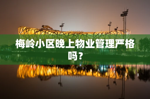梅岭小区晚上物业管理严格吗？