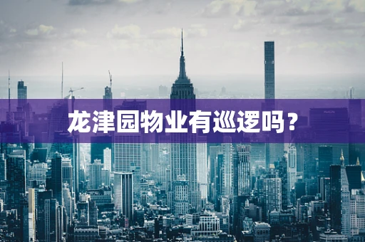 龙津园物业有巡逻吗？