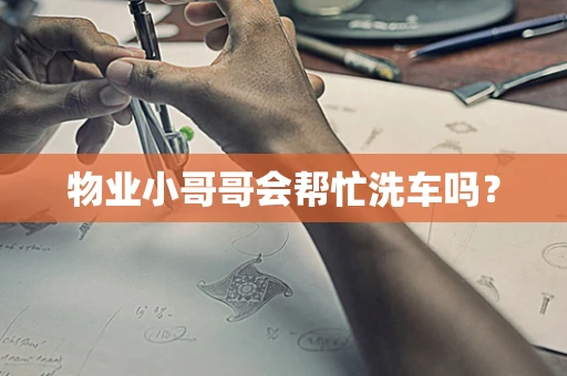 物业小哥哥会帮忙洗车吗？
