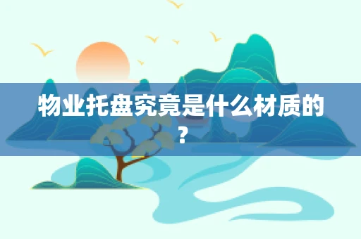 物业托盘究竟是什么材质的？