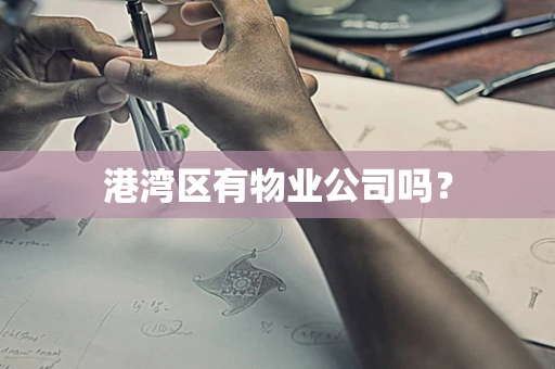 港湾区有物业公司吗？