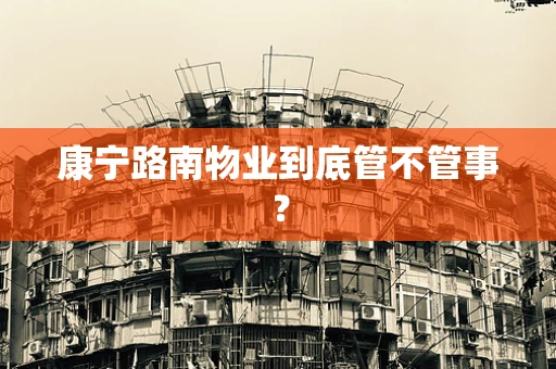 康宁路南物业到底管不管事？