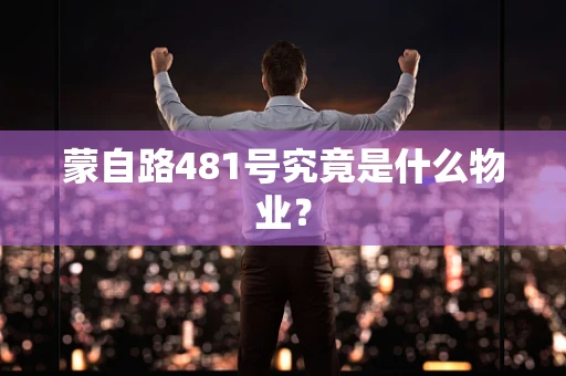 蒙自路481号究竟是什么物业？
