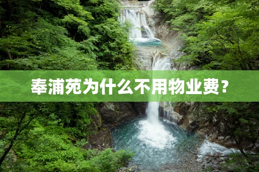 奉浦苑为什么不用物业费？